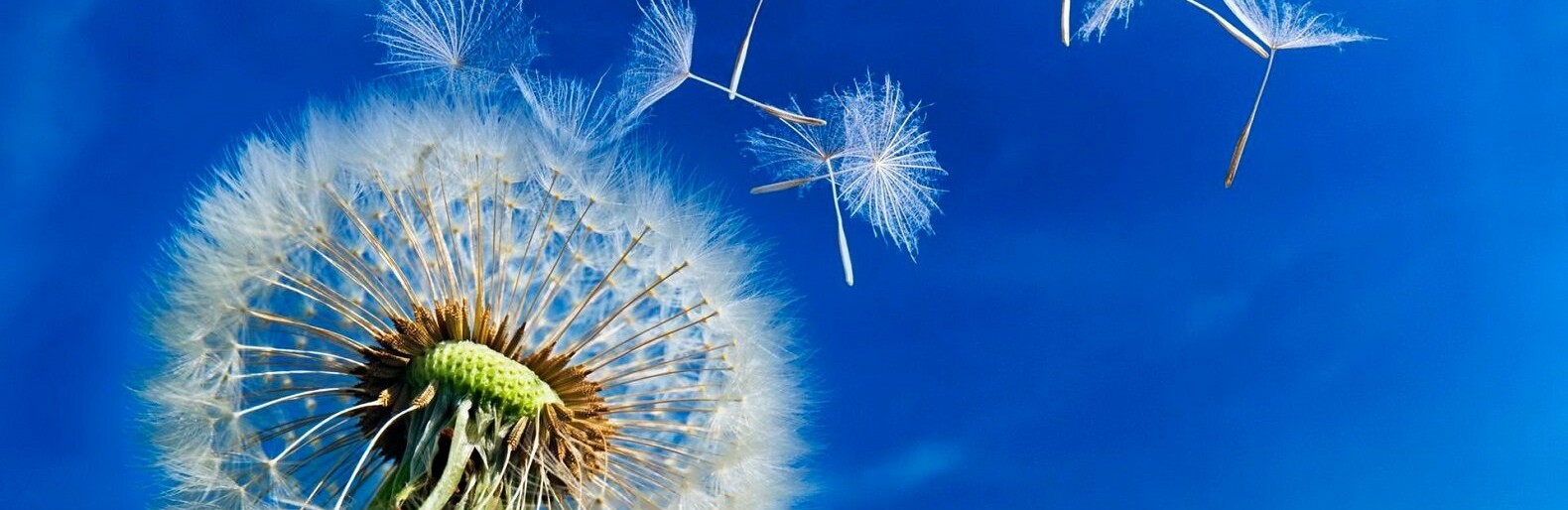 ����: inaktau.kz