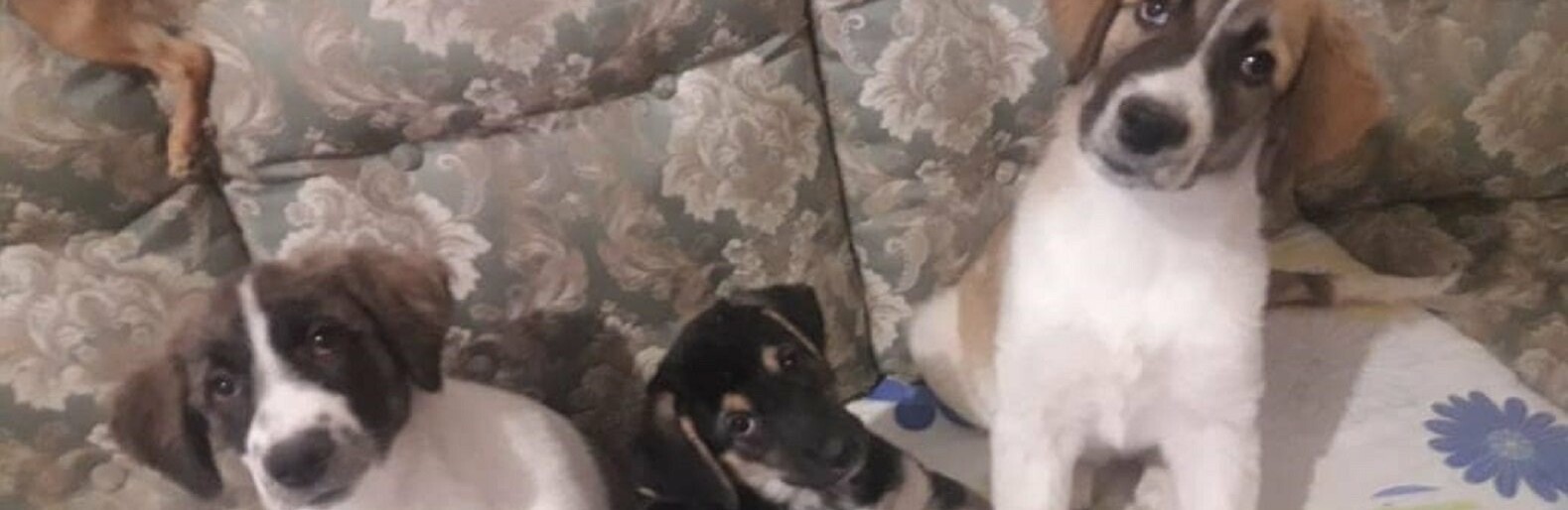 ����: inaktau.kz