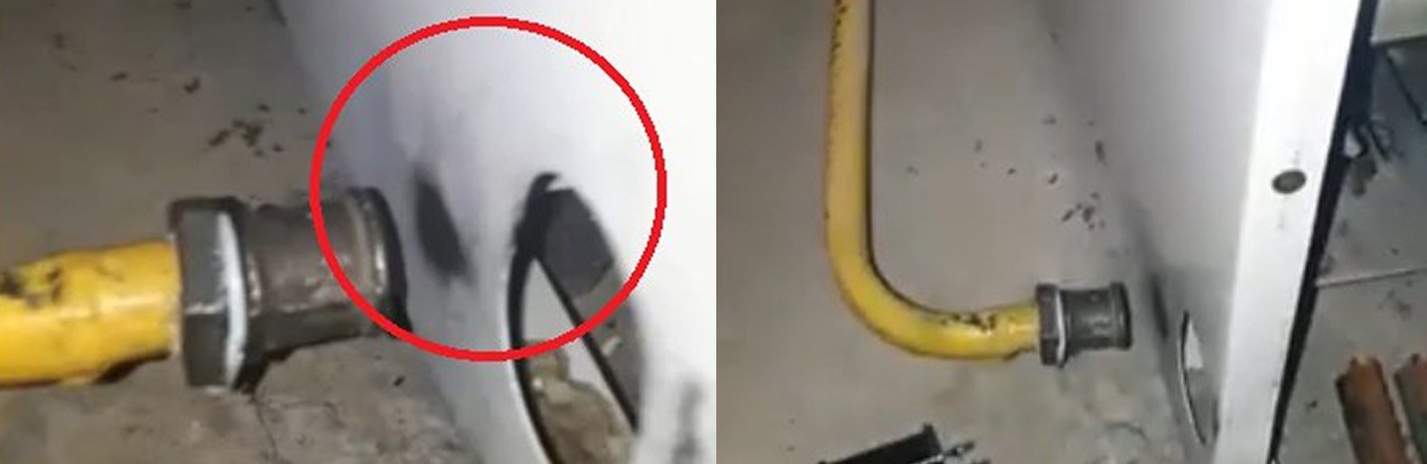  ������ ���� �������� �������� �������� ����� 