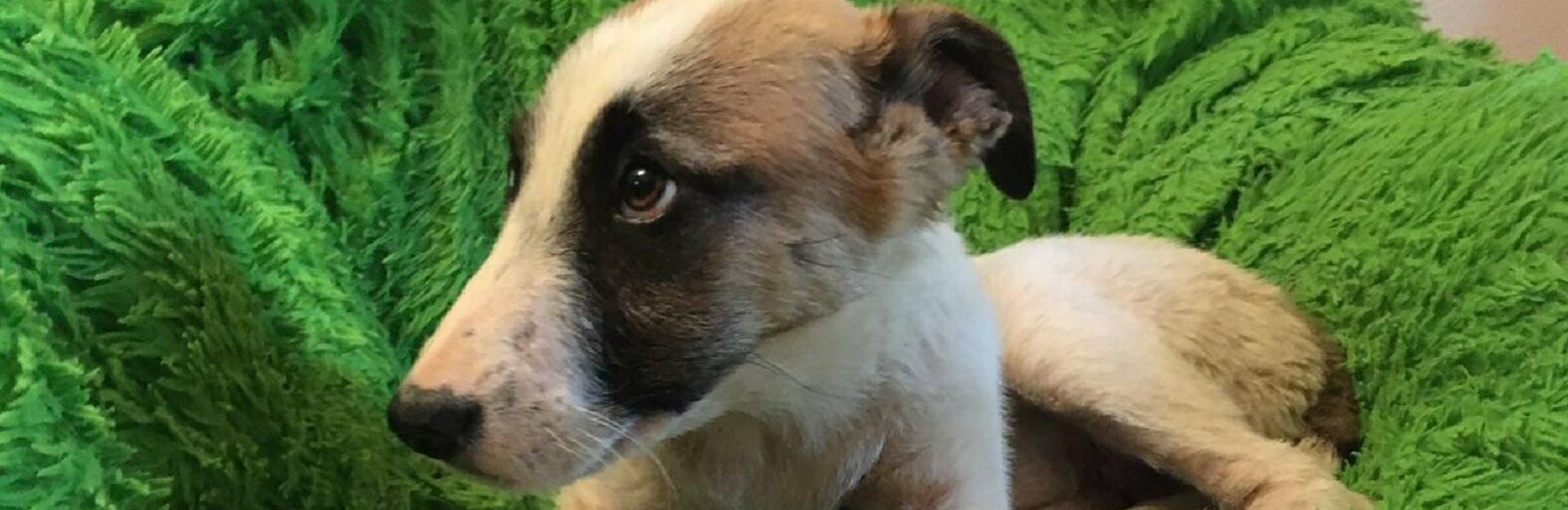 ����: inaktau.kz