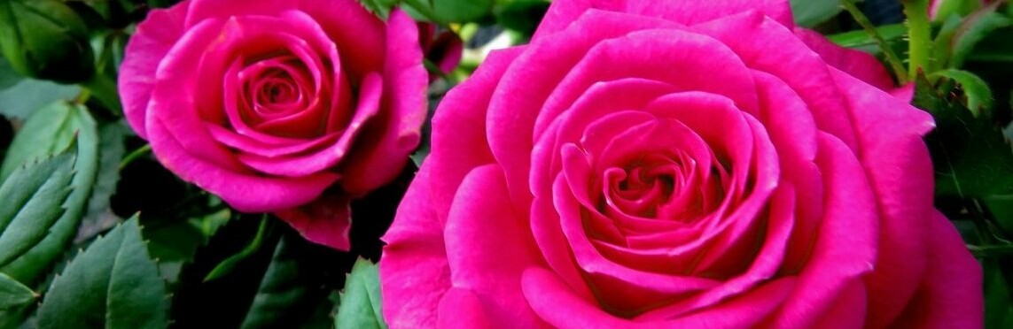  ���������� ��������� ������� �������� ������ ��������� ����� ������� 