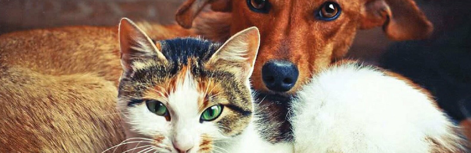  �������� ������ �������� ����� ������� ��������� ���������� 