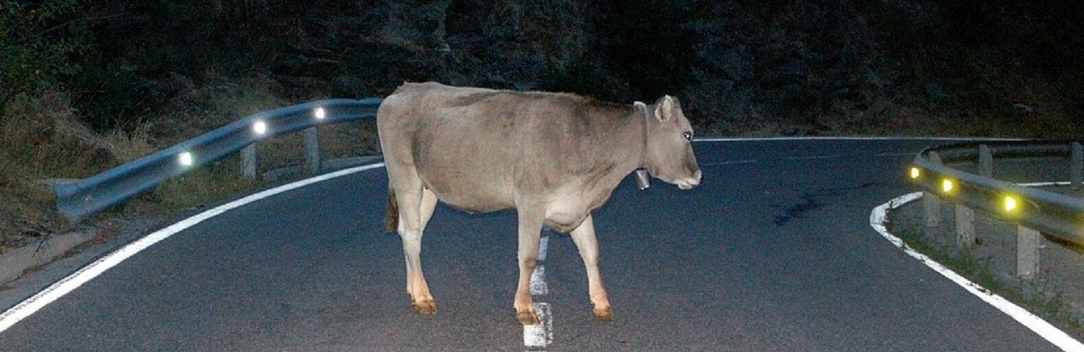 ����: inaktau.kz