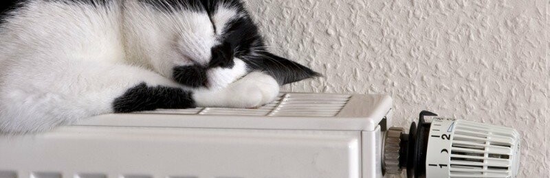 ����: inaktau.kz