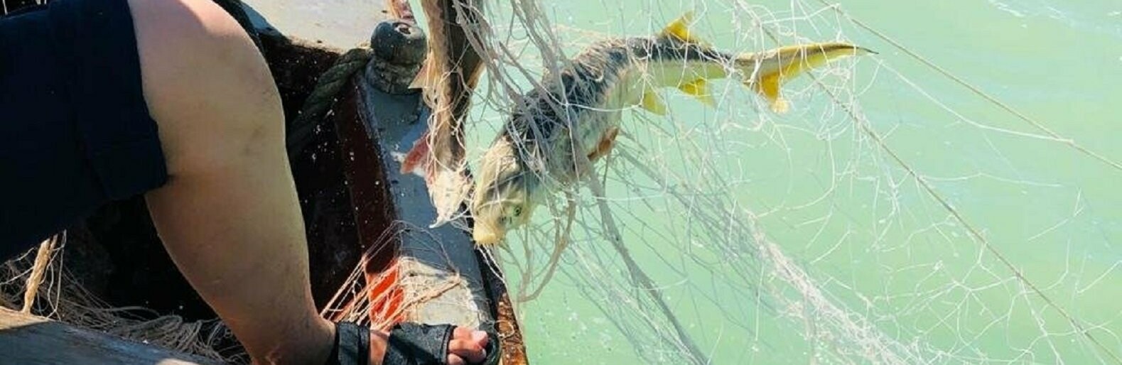 ����: inaktau.kz