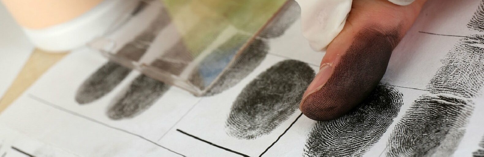  ����� ���������� ������� ������������ ��������� 2023 ��� 