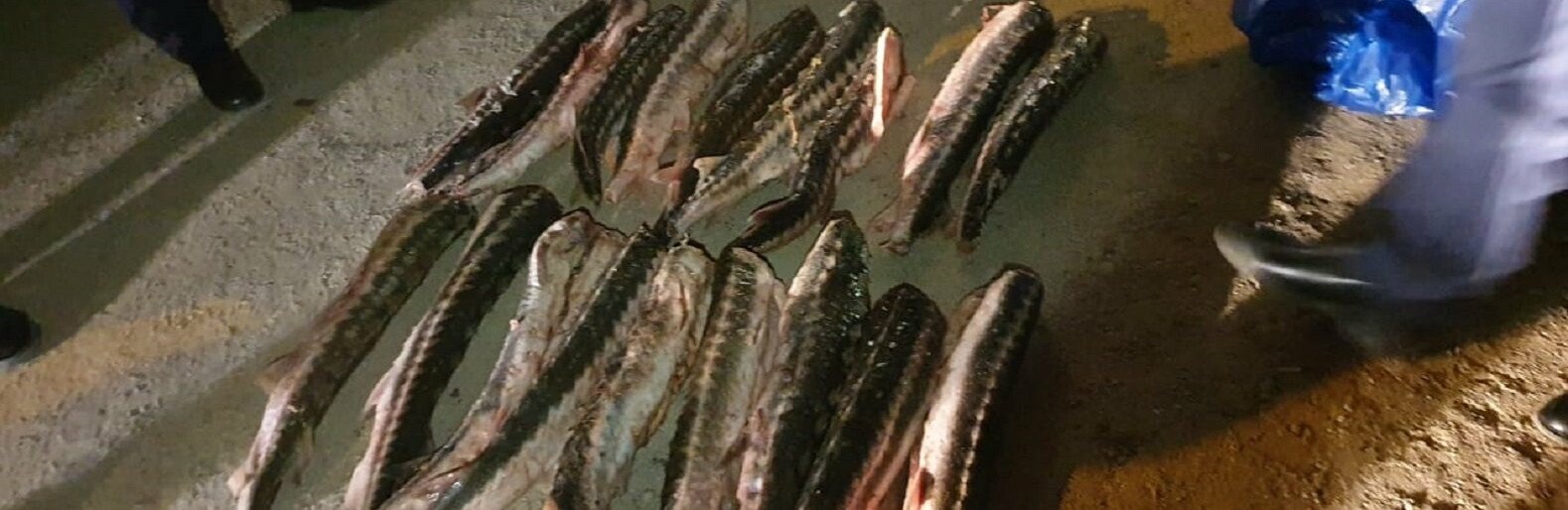  ��� ��������� ������� ������ ����������� ���� ������ 