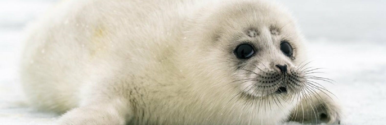 ����: inaktau.kz