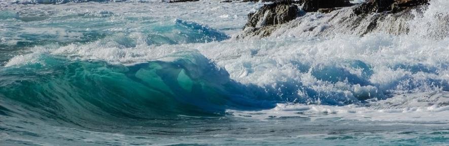 Объявление о продаже земельного участка на берегу Каспия возмутило ...