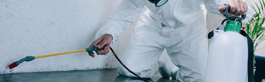 Жители Актау не имеют права самостоятельно травить насекомых ...