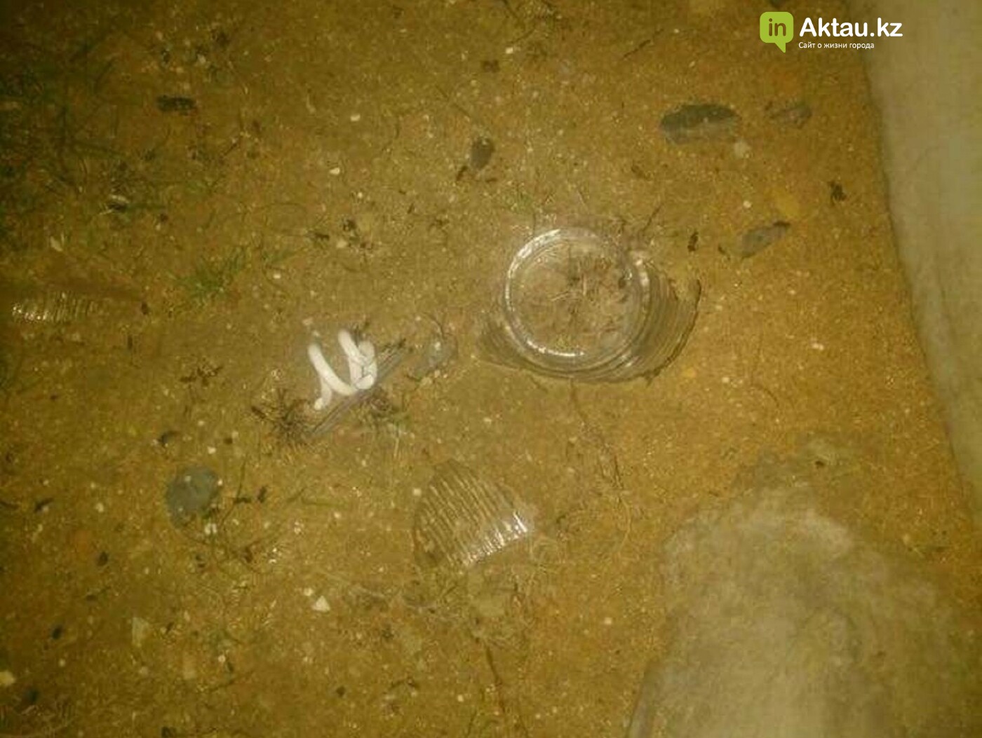 Вандалы в Акшукуре перебили недавно установленные фонари н..., фото-3 Вандалы в Акшукуре перебили недавно установленные фонари на главной площади , фото-3