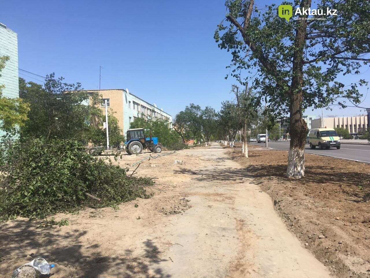 Самую зеленую аллею в Актау может заменить газон, фото-1 Самую зеленую аллею в Актау может заменить газон, фото-1