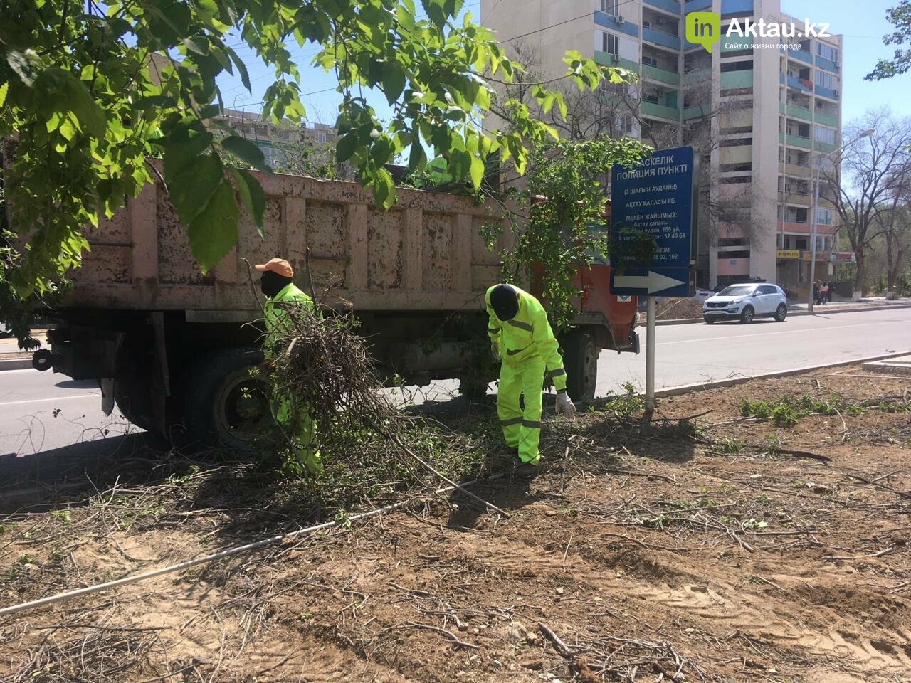 Самую зеленую аллею в Актау может заменить газон, фото-4 Самую зеленую аллею в Актау может заменить газон, фото-4