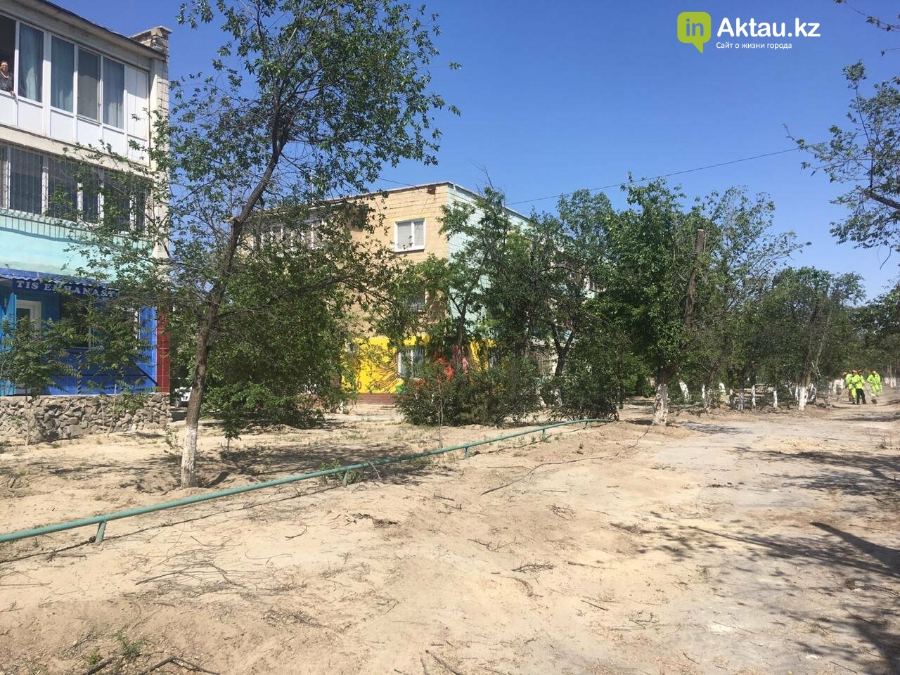 Самую зеленую аллею в Актау может заменить газон, фото-5 Самую зеленую аллею в Актау может заменить газон, фото-5