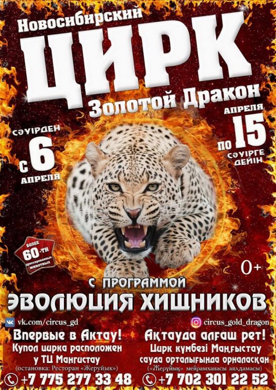 Цирк хищников реутов. Афиша цирка. Цирковая афиша. Цирк хищник в городе. Новосибирский цирк афиша