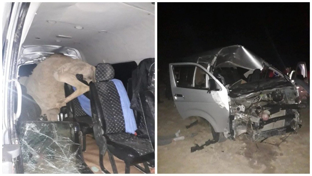 В Актау спасли женщину, попавшую в страшное ДТП, фото-1 В Актау спасли женщину, попавшую в страшное ДТП, фото-1