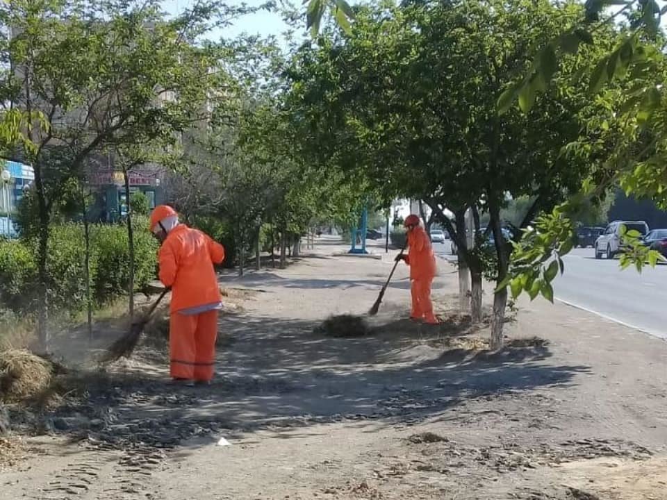 Миллионные тендера на озеленение: Актау снова порос сорняком, фото-5 Миллионные тендера на озеленение: Актау снова порос сорняком, фото-5