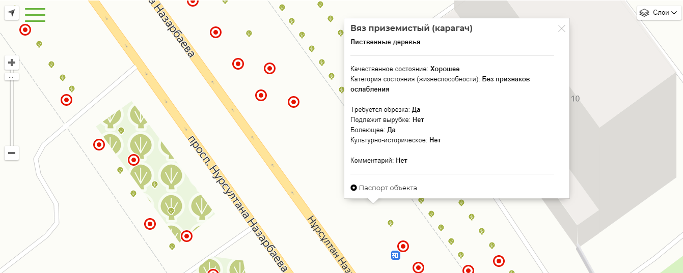 В Актау сообщить о сухостое или засыхающем дереве теперь м..., фото-2 В Актау сообщить о сухостое или засыхающем дереве теперь можно через Реестр зеленых насаждений, фото-2