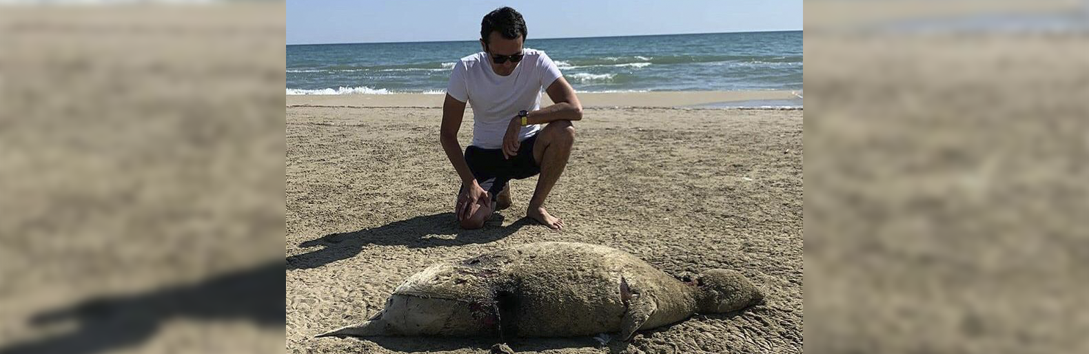 Таинственный певец на берег выброшен грозою. В кайспис Каспийском море вытащили русалку. В Дагестане погибло 2500 тюленей. Российские туристы погладили тюленя и получили огромный штраф.